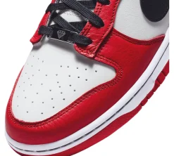 Nike Dunk Low EMB - NBA 75th Anniversary Chicago