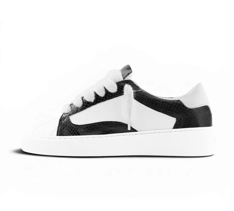 NUMERIŚ Eclipse - Python Black
