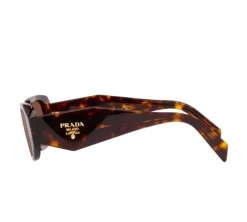 Prada Symbole Sunglasses - Brown & Tortoise