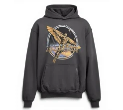 Represent Golden Tour Hooded Hoodie - Sun Fade Grey